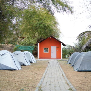 5 sharing room
